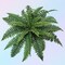 3-Pack 34-Inch Artificial Boston Fern Plants – Realistic Faux Greenery with 30 UV-Resistant Silk Fronds for Indoor & Outdoor Decor